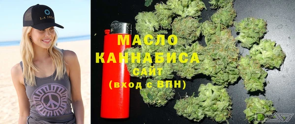 apvp Вяземский