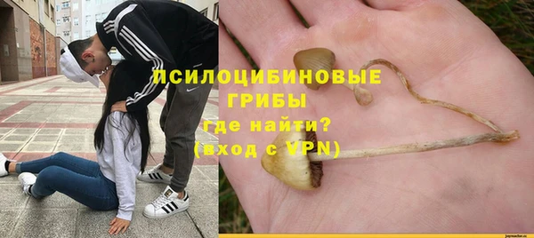 скорость Алзамай