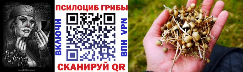 hydra ТОР  Березники  даркнет клад  Галлюциногенные грибы мицелий 