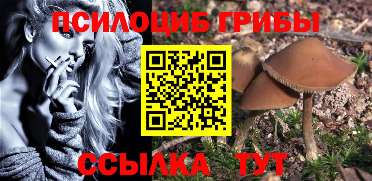 Галлюциногенные грибы GOLDEN TEACHER  Галлюциногенные грибы Psilocybe  Березники  Вход с VPN 